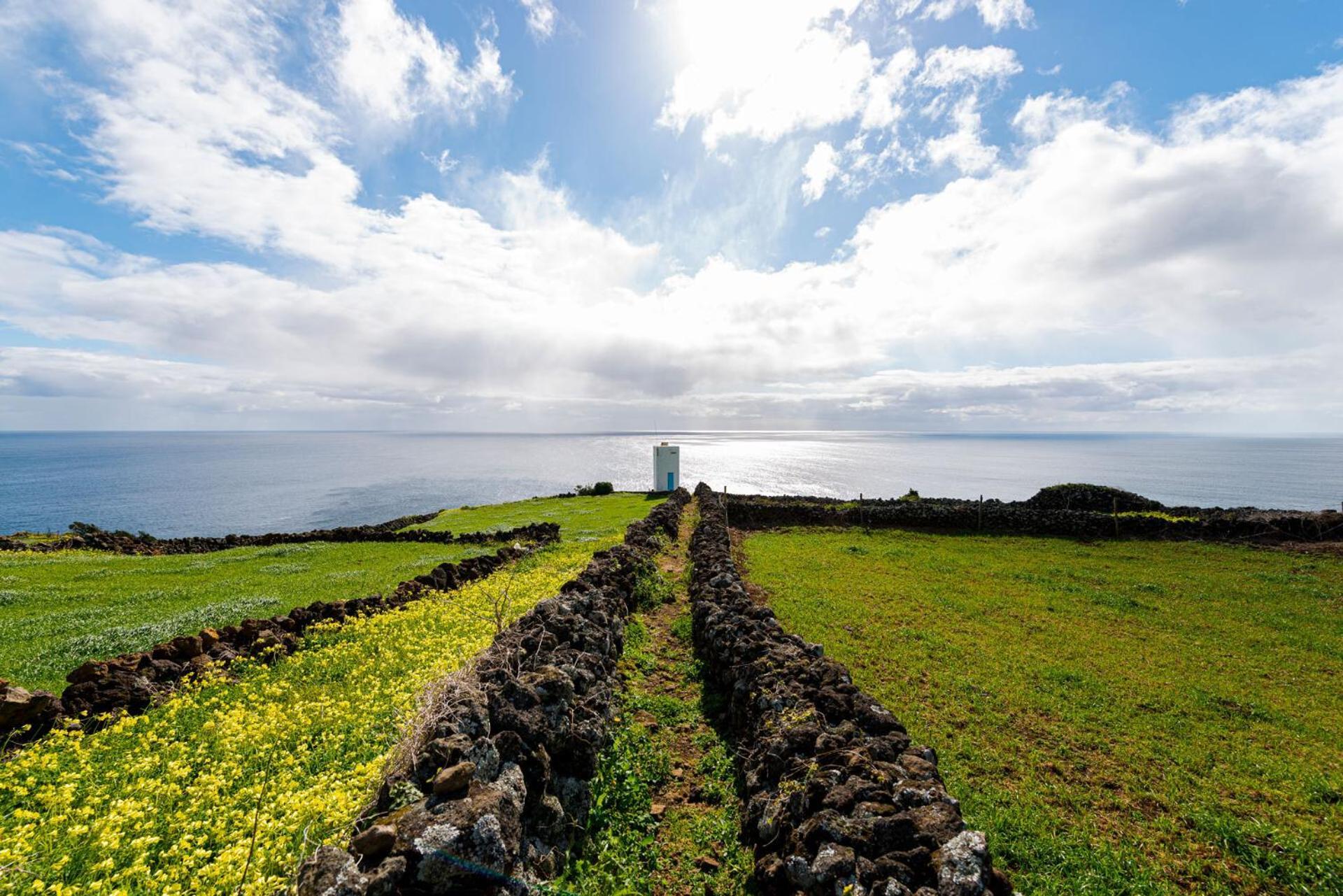 Engenho Hostel Lajes do Pico Zewnętrze zdjęcie